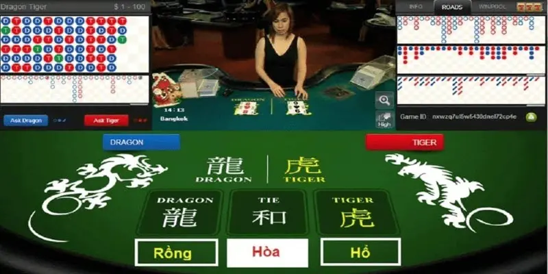Các cửa đặt quen thuộc của rồng hổ